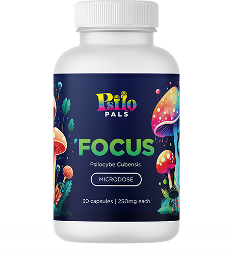 Focus Capsules