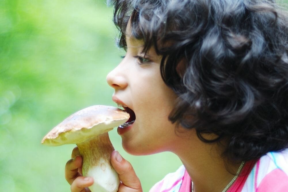 Mushroom Identification tips