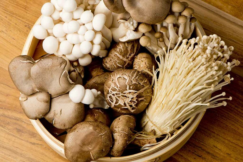 mushroom varieties for home growing kit